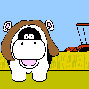 Scowly finds a combine harvester